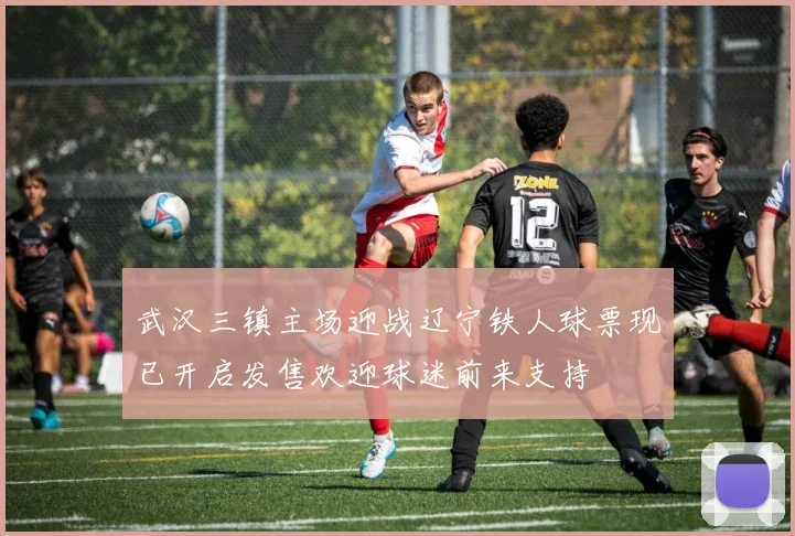 武汉三镇主场迎战辽宁铁人球票现已开启发售欢迎球迷前来支持