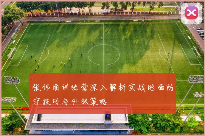 张伟丽训练营深入解析实战地面防守技巧与升级策略